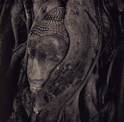 &copy; Copyright Simon Larbalestier 2003