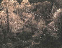 © Copyright Simon Larbalestier 2000