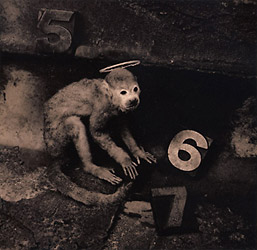 &copy; Copyright Simon Larbalestier 1998