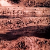 &copy; Copyright Simon Larbalestier 1999