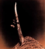 &copy; Copyright Simon Larbalestier 1999