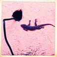 Hipstamatics