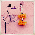 Hipstamatics