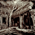 Odyssey
