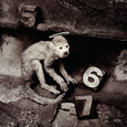 Pixies