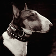 Pixies