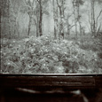 Repository 2011